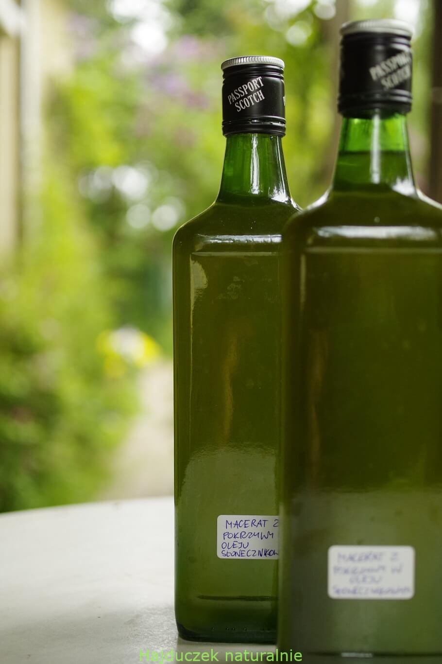 macerat z pokrzywy w oliwie