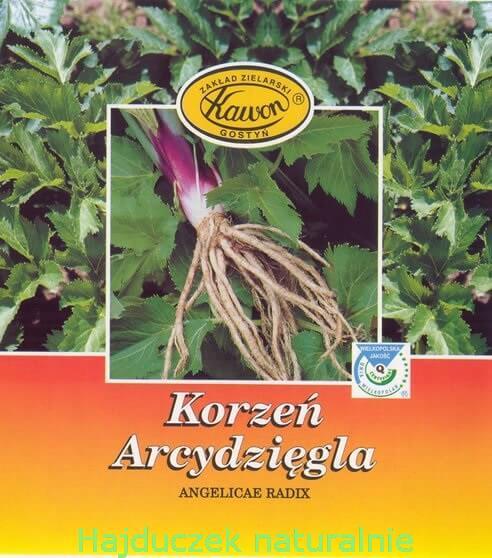 nalewka bzowa - krok drugi