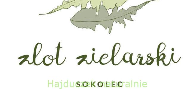 impresje zlotowe