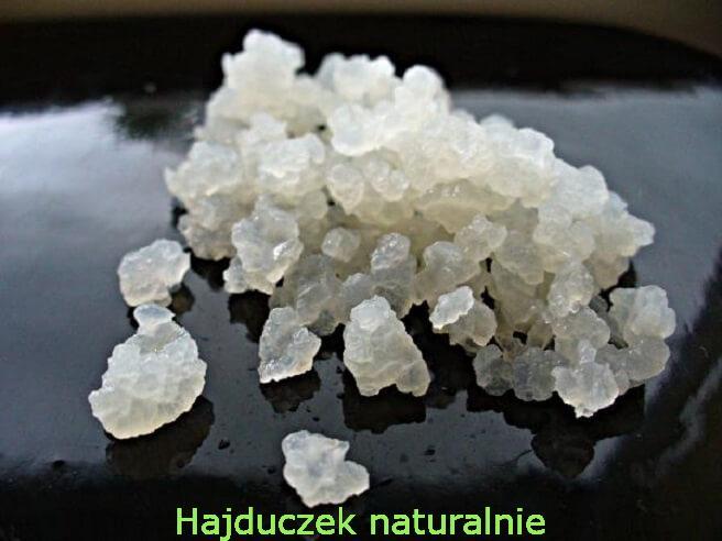 kryształy kefiru wodnego