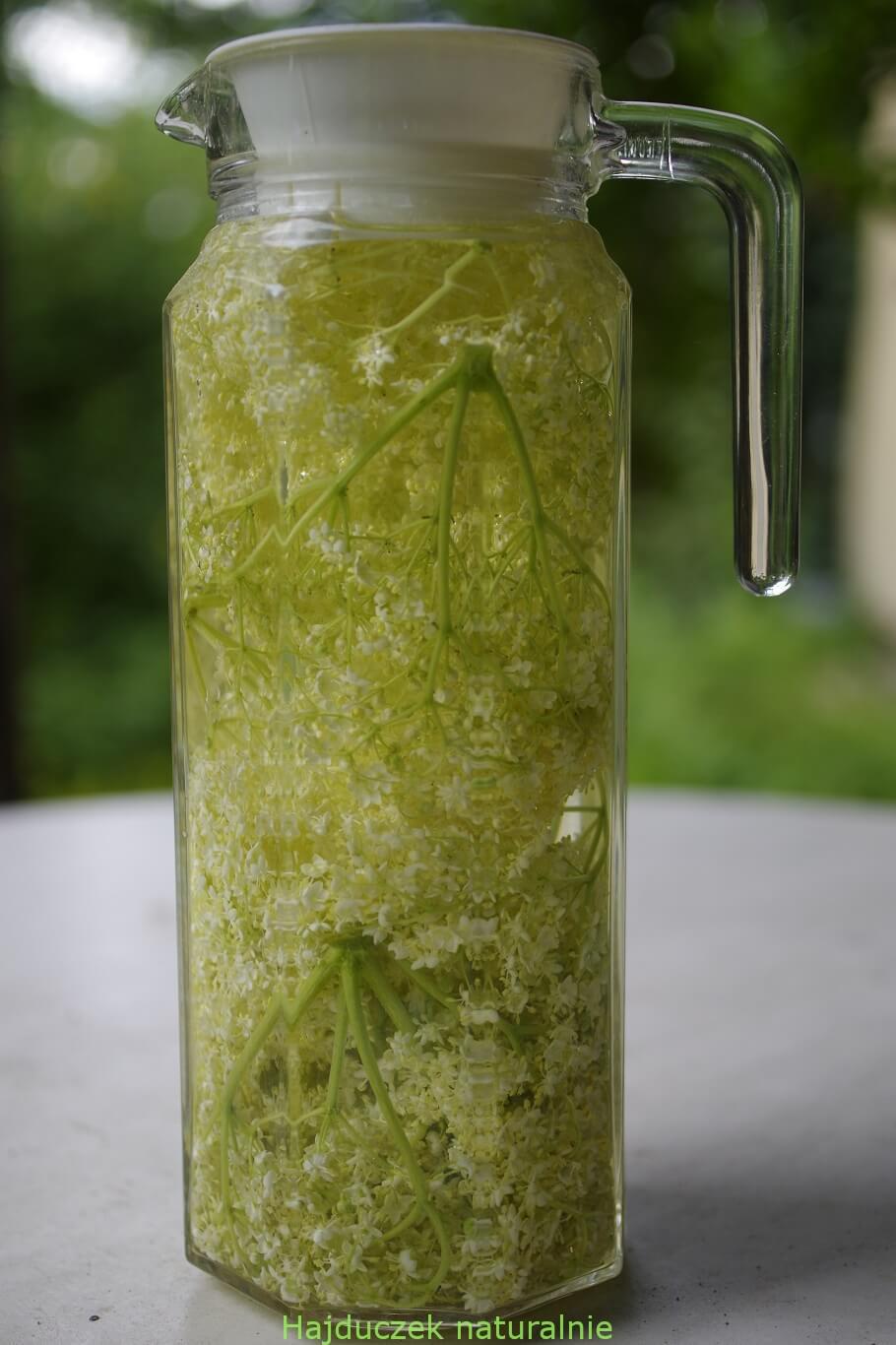 szybka lemoniada bzowa