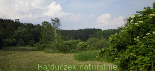kąpiel ziołowa