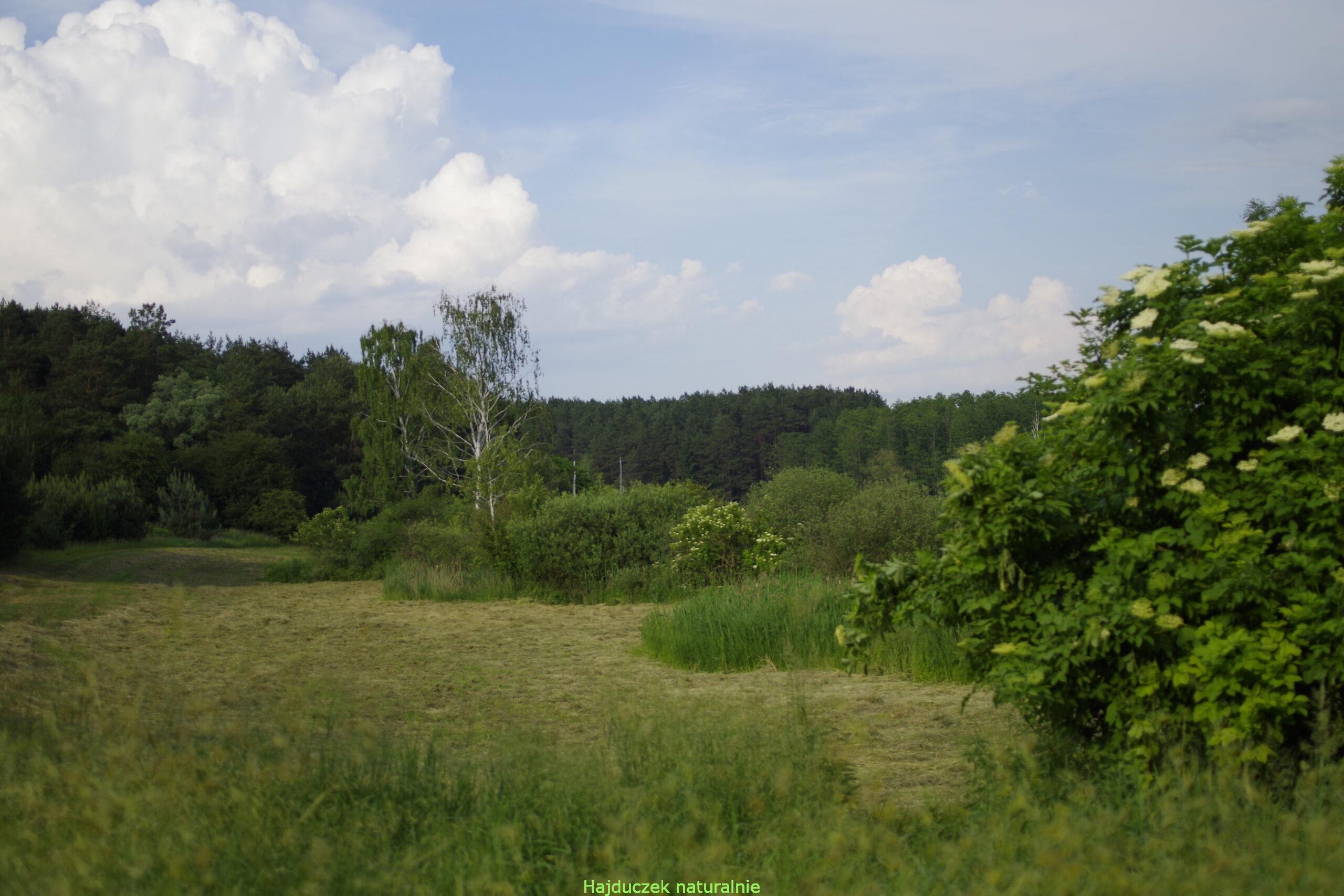 kąpiel ziołowa