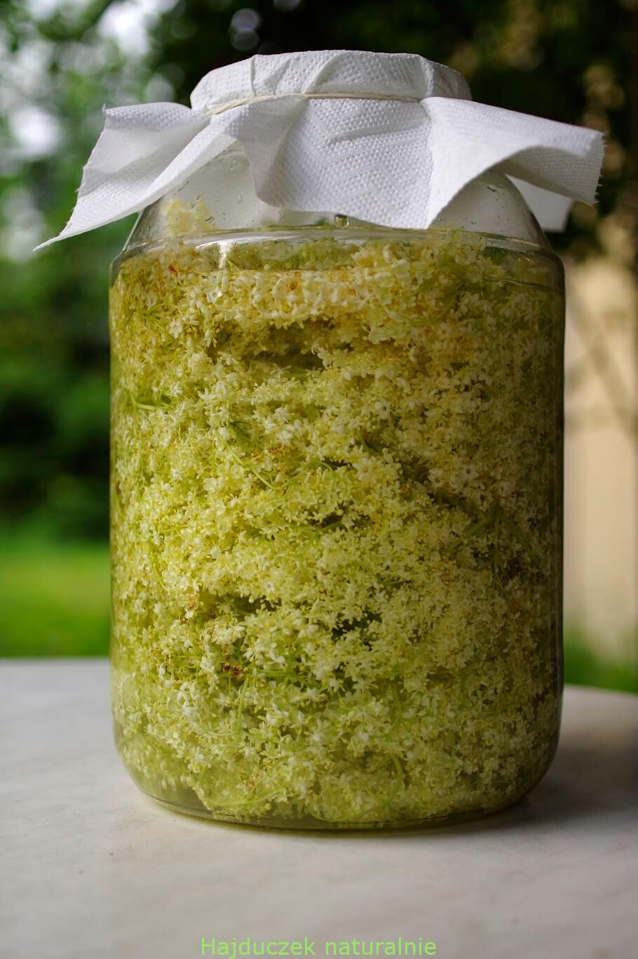 czarny bez