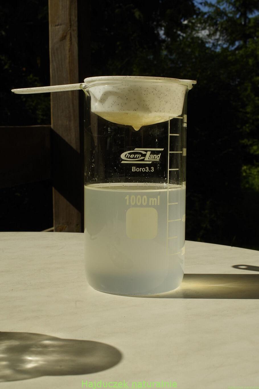 lemoniada truskawkowa