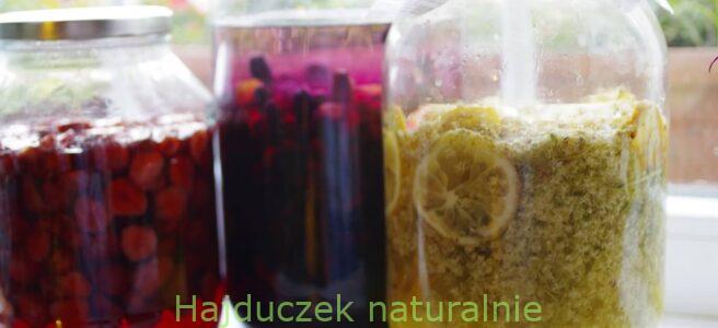 nalewka bzowa