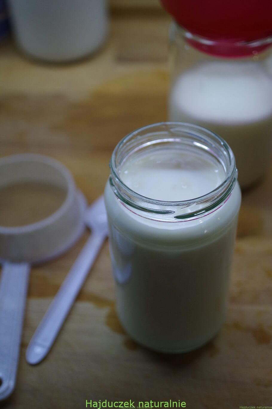 kefir z grzybka