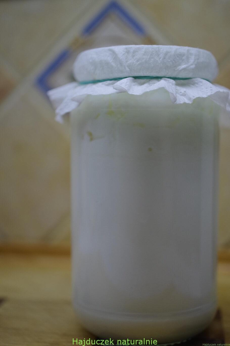 kefir z grzybka