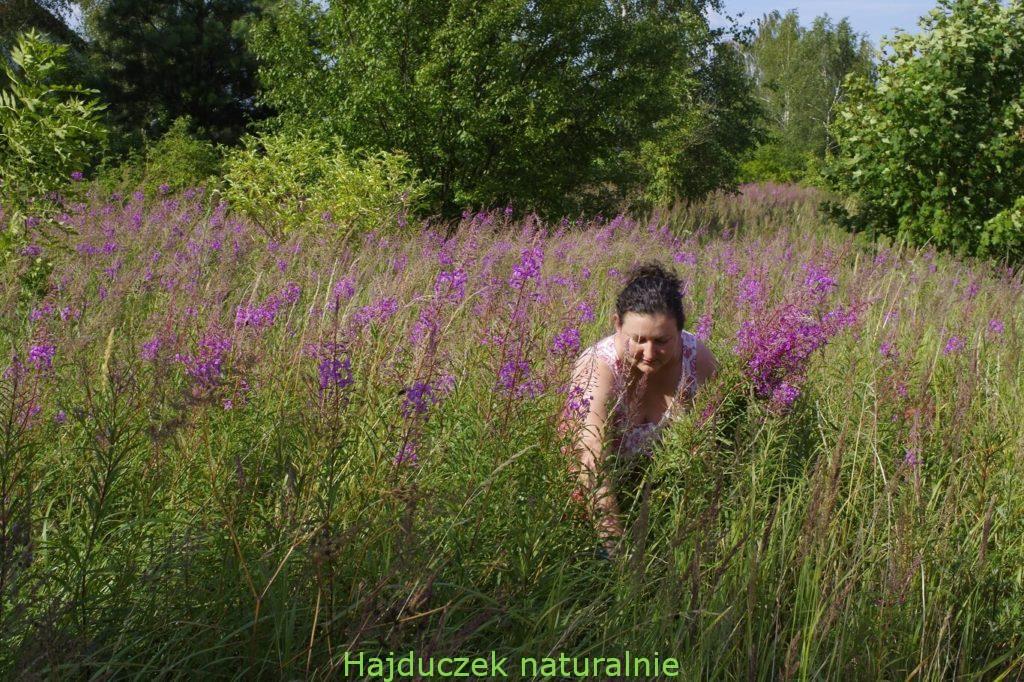 hajduczek, czyli Dorota