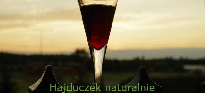najlepsza wiśniówka polska