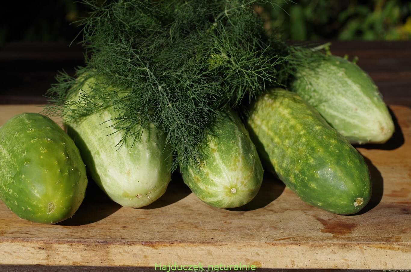 ogórki i koperek