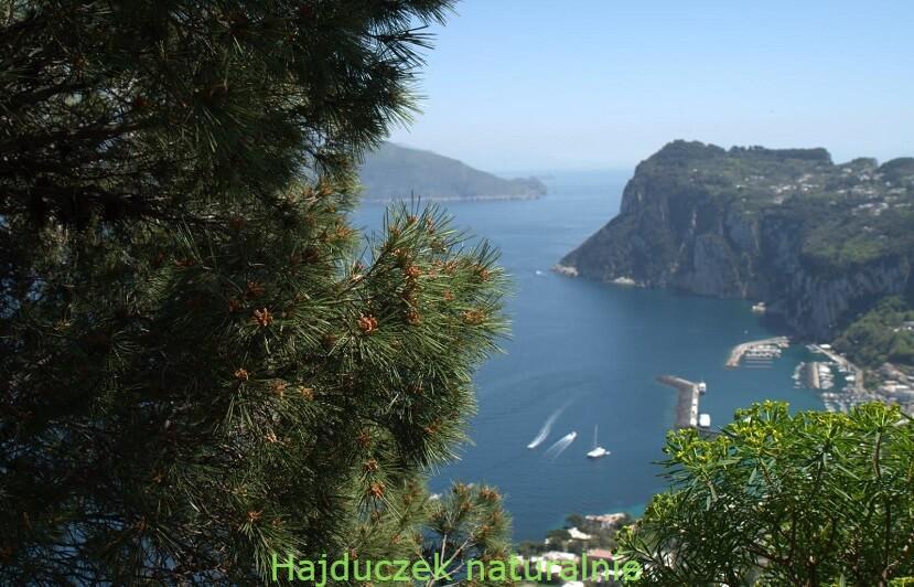 Capri