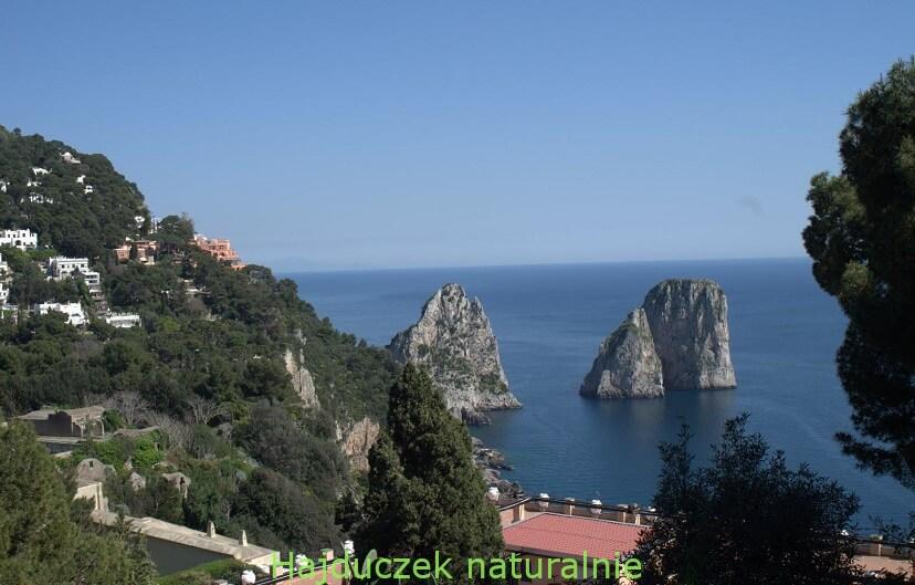 Capri