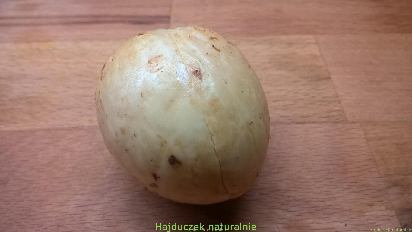 pestka awokado