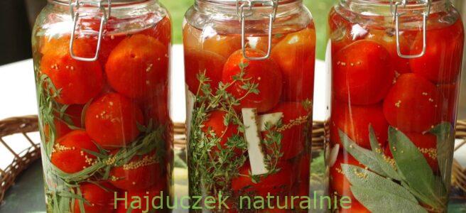 kiszone pomidory