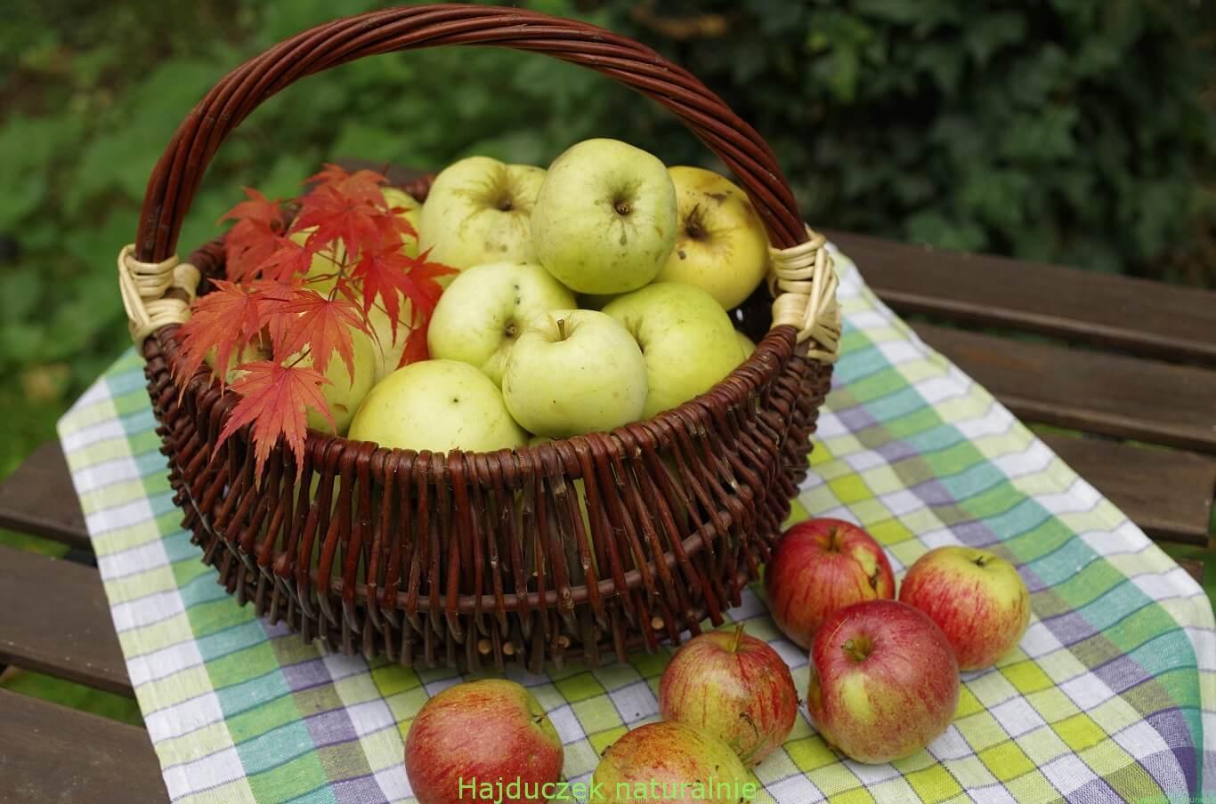 jabłka