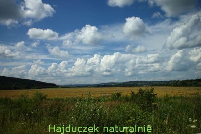 huculska kulesza