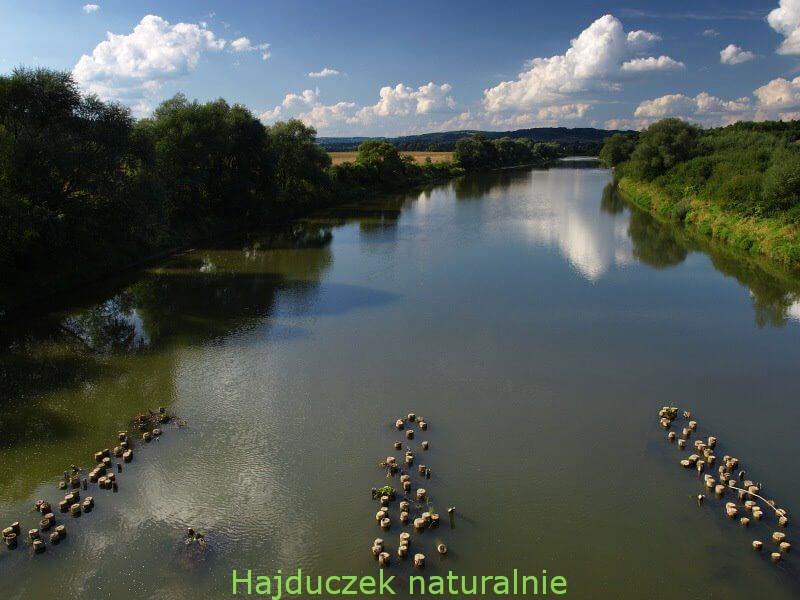 huculska kulesza