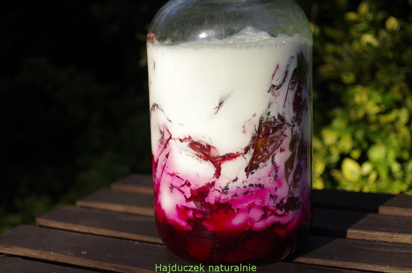 botwinka fermentowana w kefirze