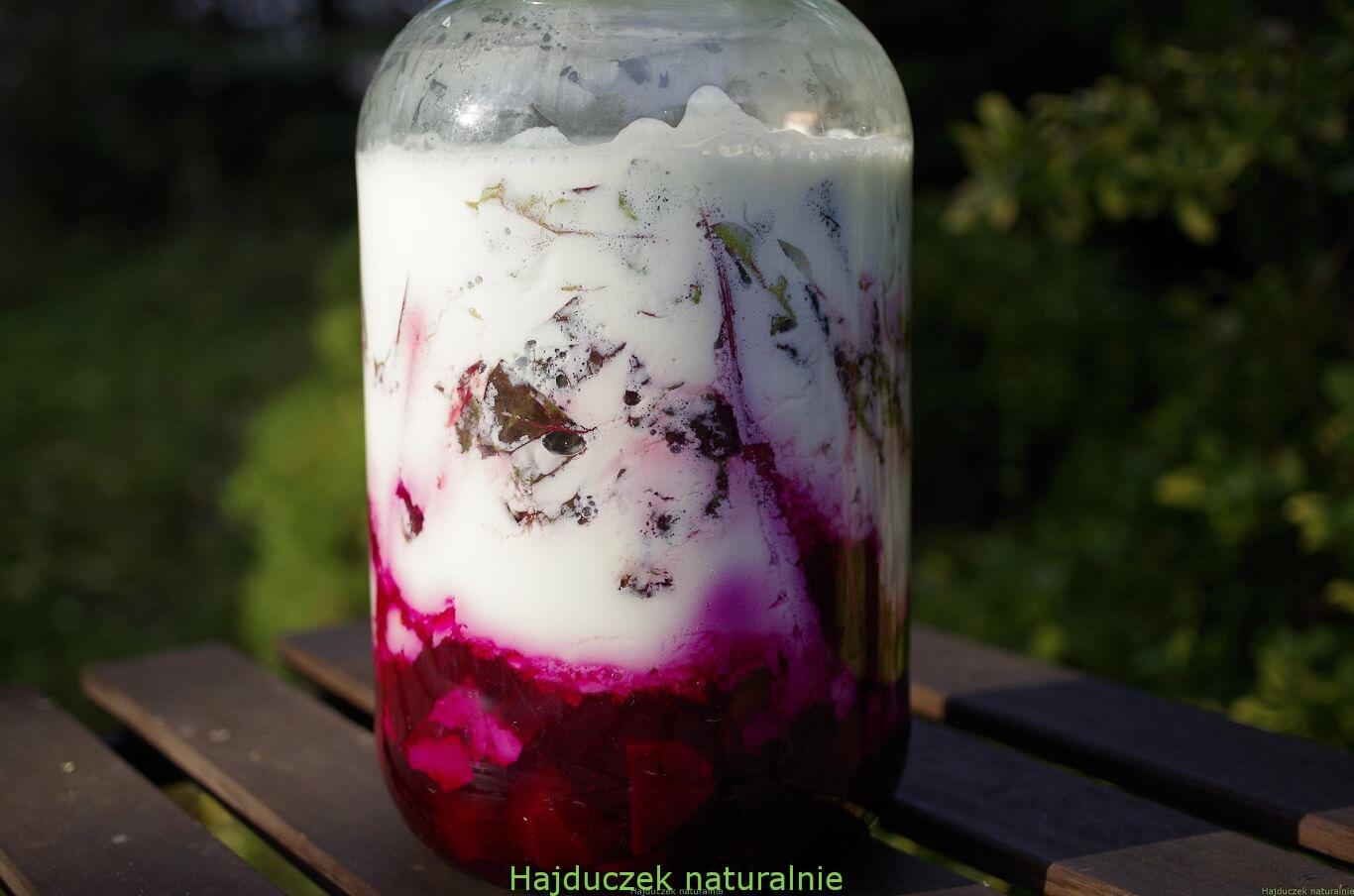 botwinka fermentowana w kefirze