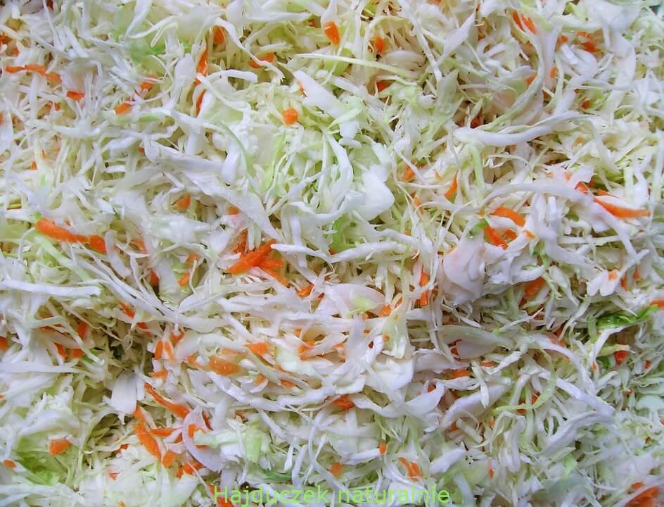 kiszona kapusta