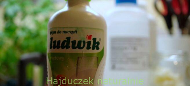 płyn do mycia naczyń
