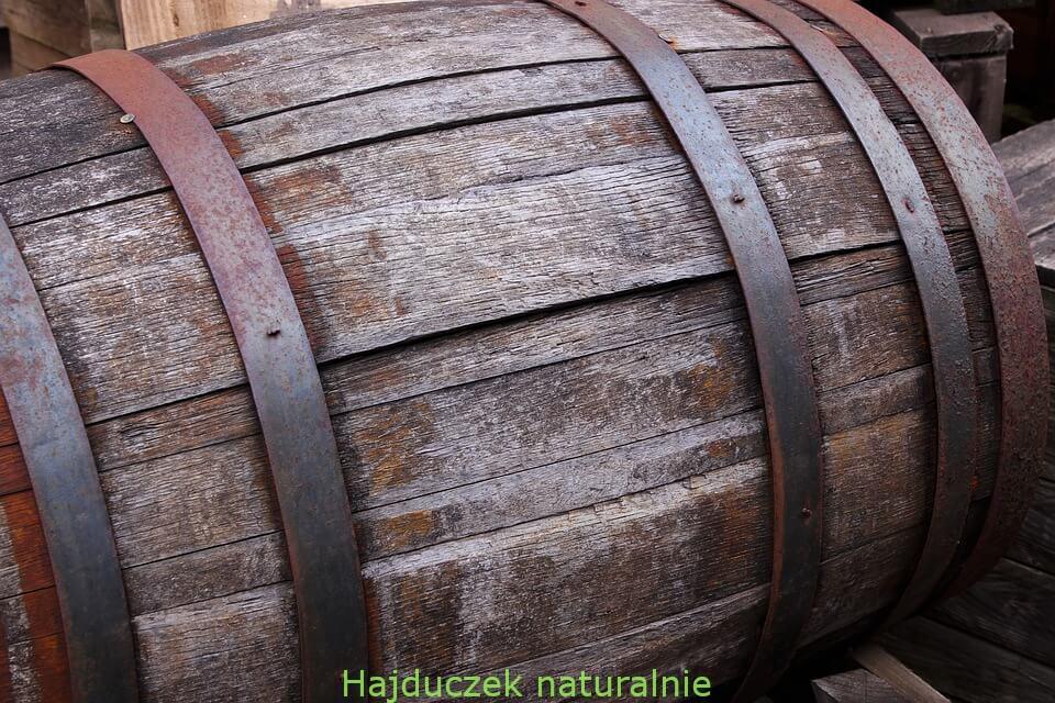 surówka z kiszonej kapusty