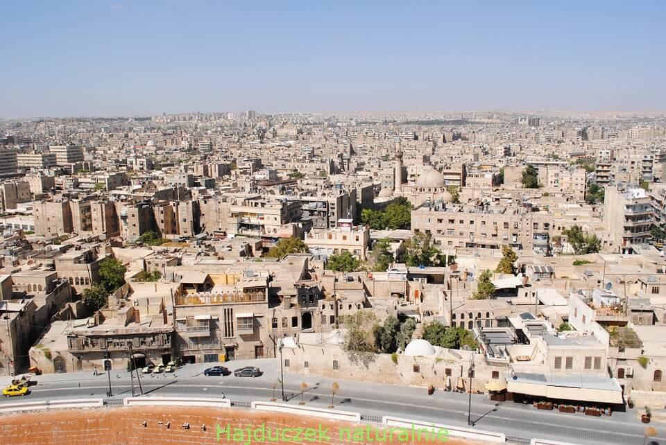 mydło Aleppo