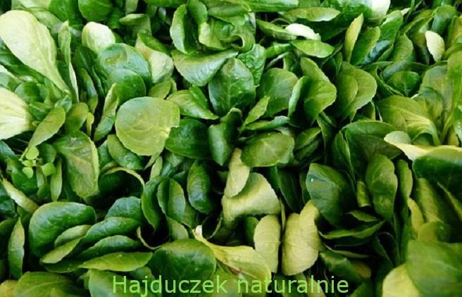sałatka grillowa z roszponki