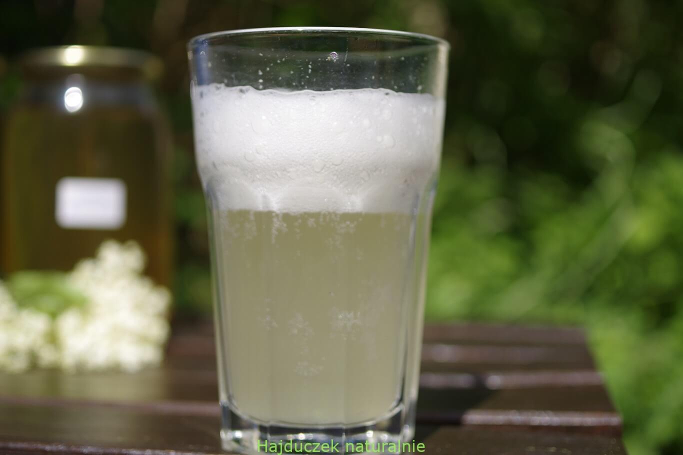 kwiaty czarnego bzu