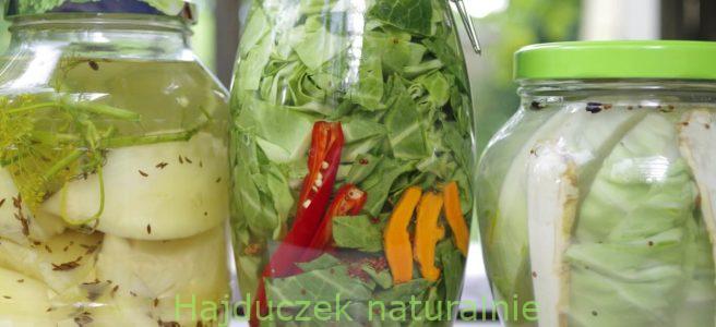 młoda kapusta kiszona