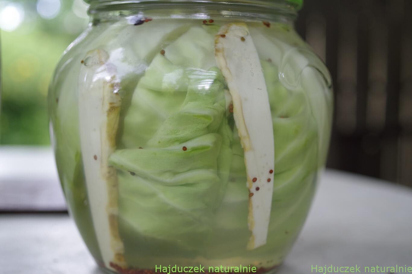 https://www.hajduczeknaturalnie.pl/krezalki-po-mojemu-malo-znana-kiszonka/