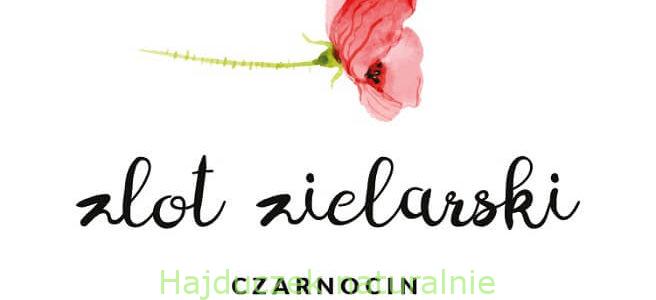 Jedziemy na Zlot Zielarski
