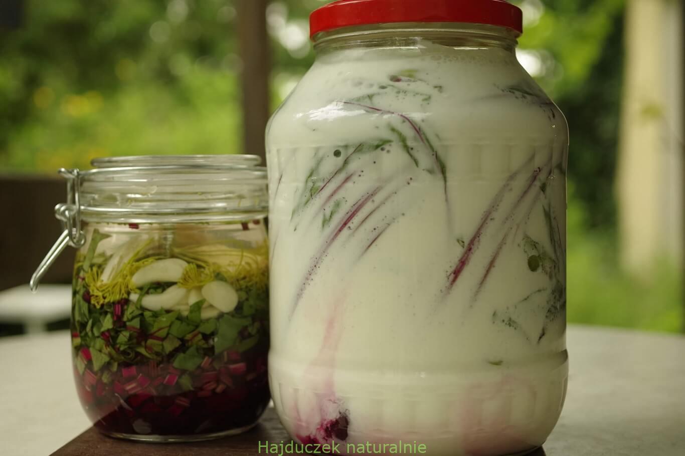kiszenie botwiny