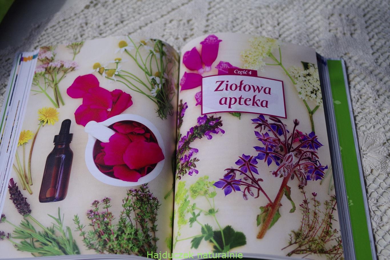 Zioła dla smaku, zdrowia i urody