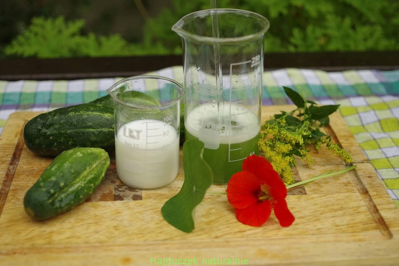 lotion ogórkowy