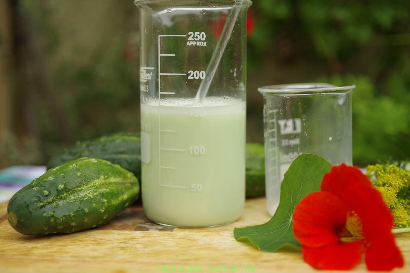 lotion ogórkowy