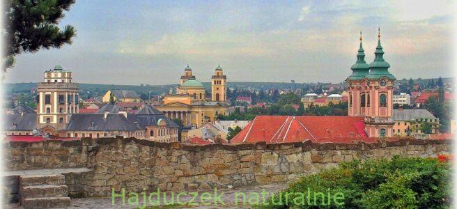 paprykarz z grzybów