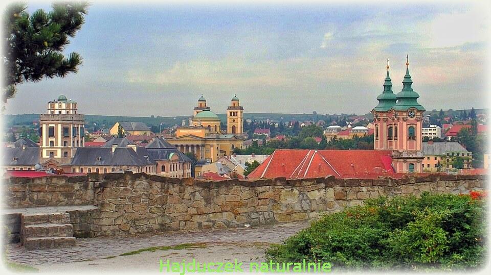 paprykarz z grzybów