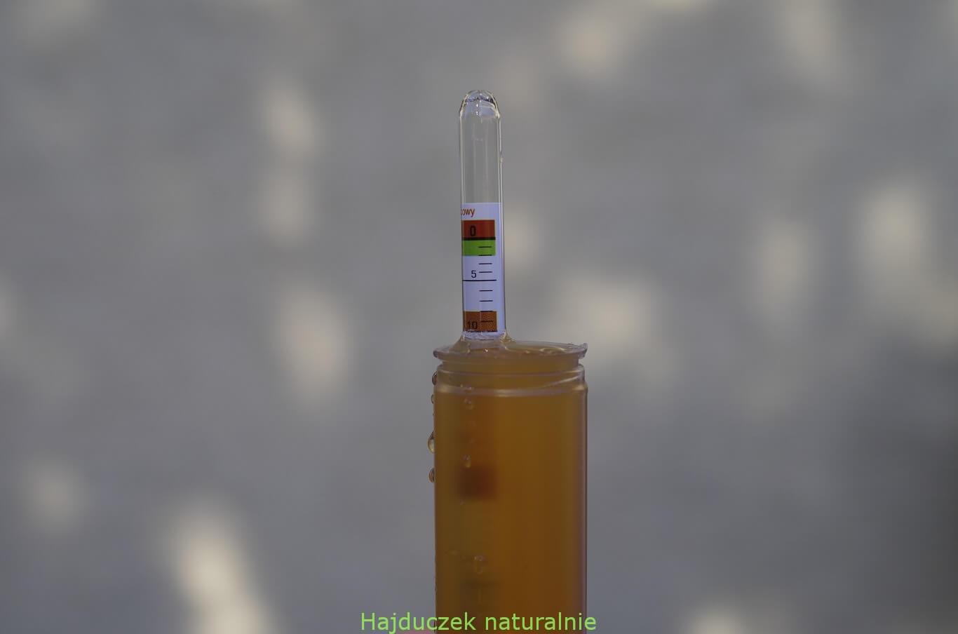 winobranie