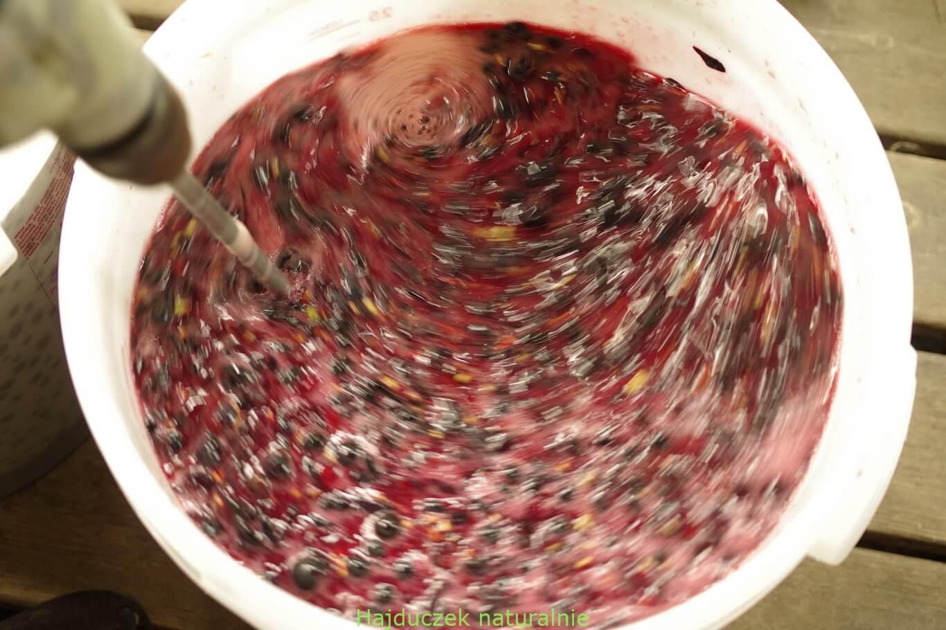 winobranie