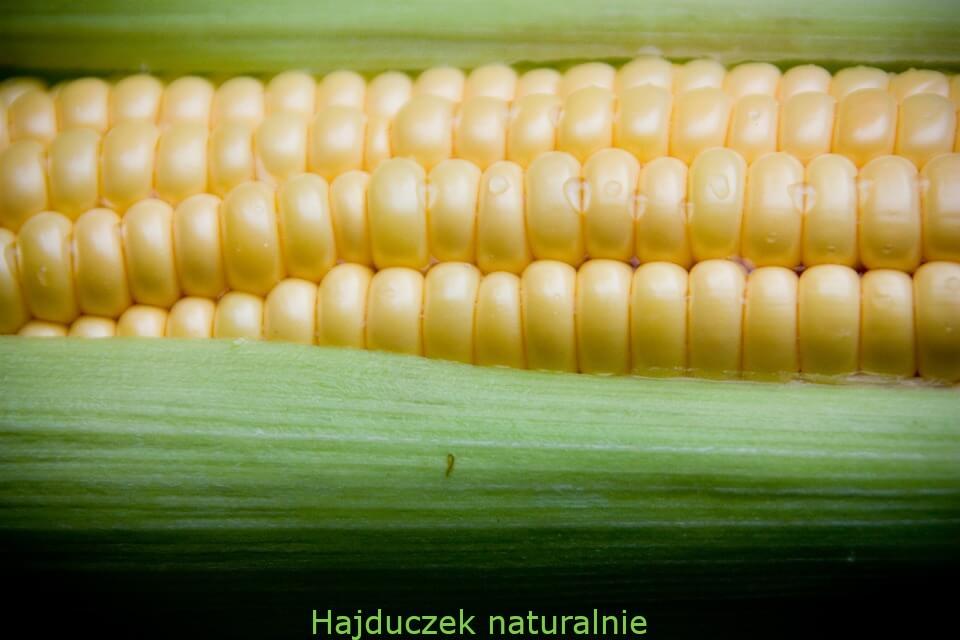 sos azjatycki z kukurydzą
