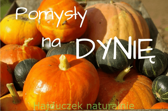 Pomysły na dynię