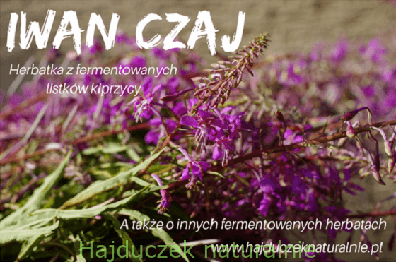Fermentowane herbaty - spis treści