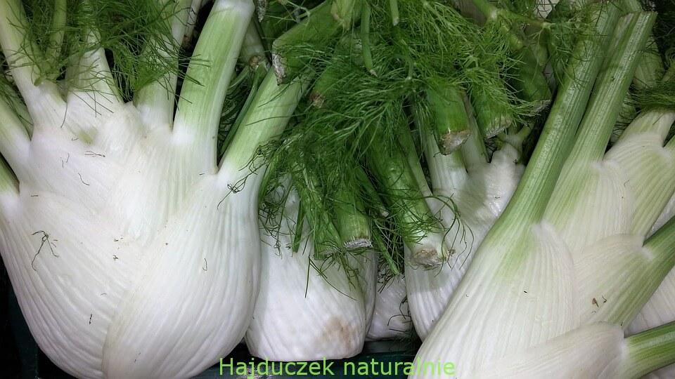 fenkuł, czyli koper włoski