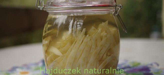 kiszony koper włoski