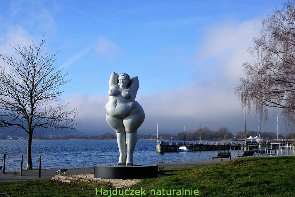 menopauza bez hormonów