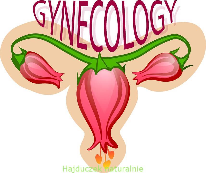 menopauza bez hormonów