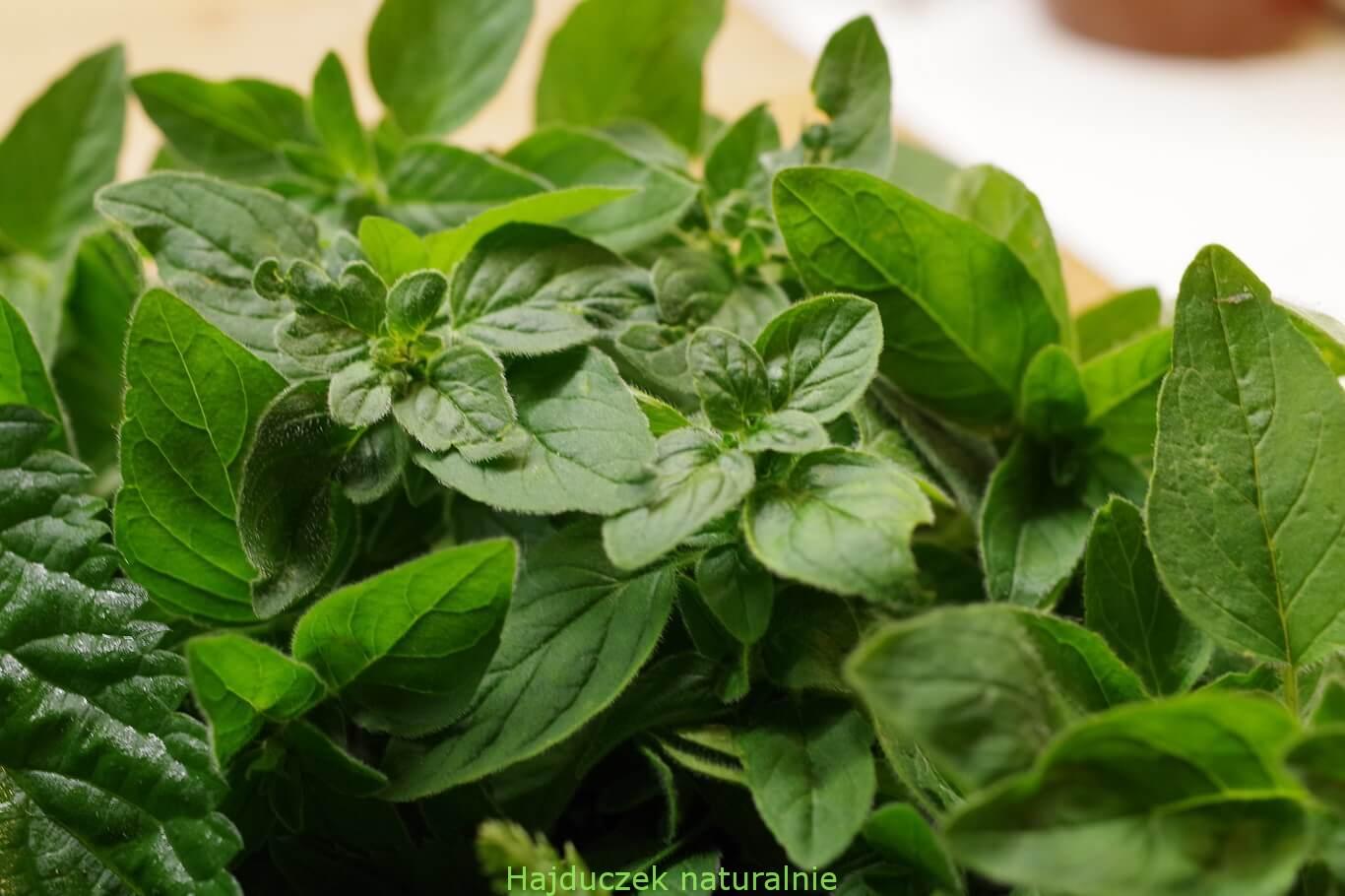 pieczona ricotta z ziołami