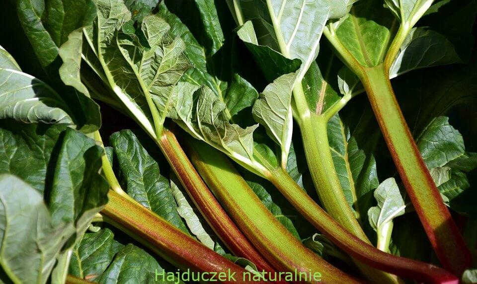 prosty placek z rabarbarem